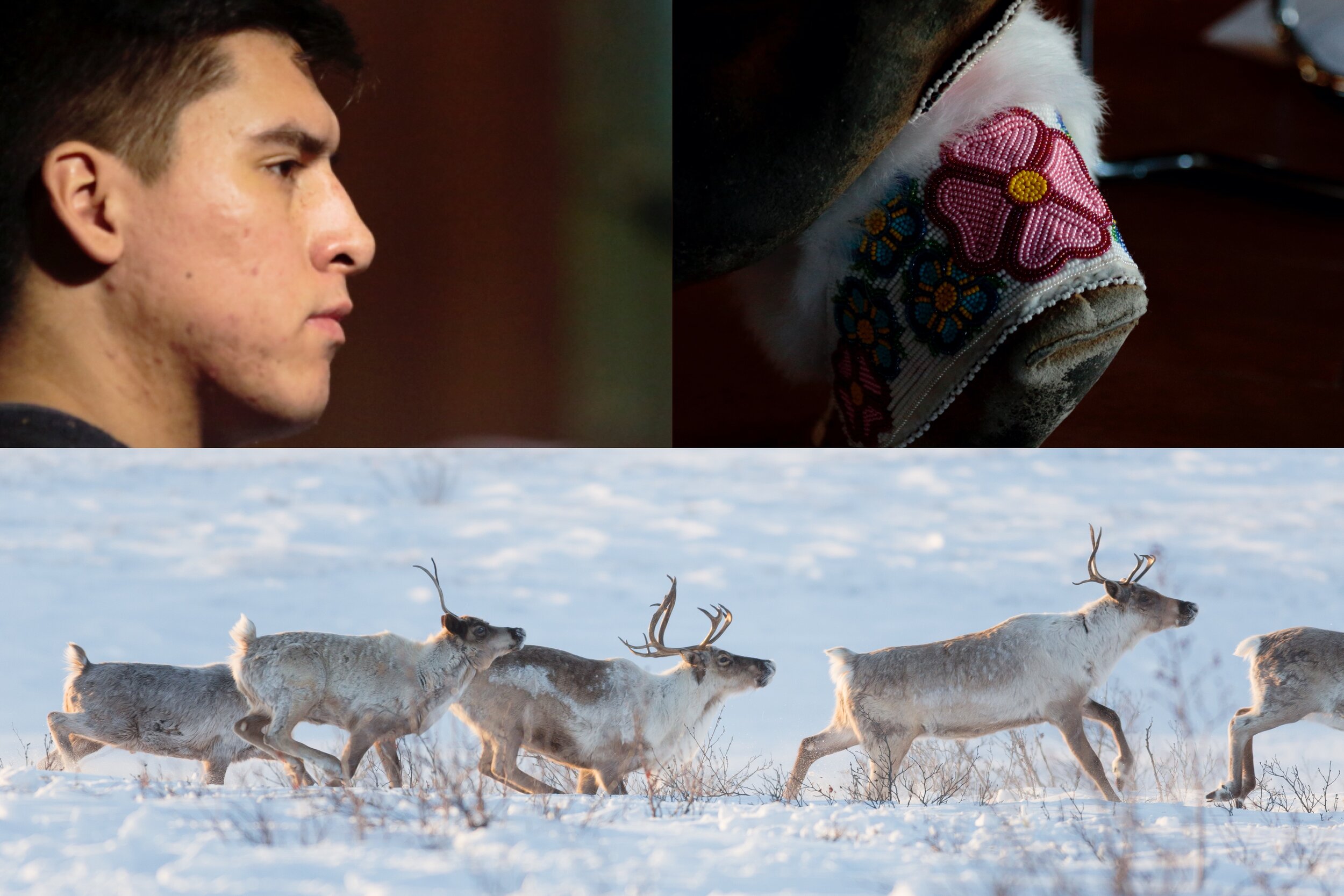 moccasin caribou dakota.jpeg