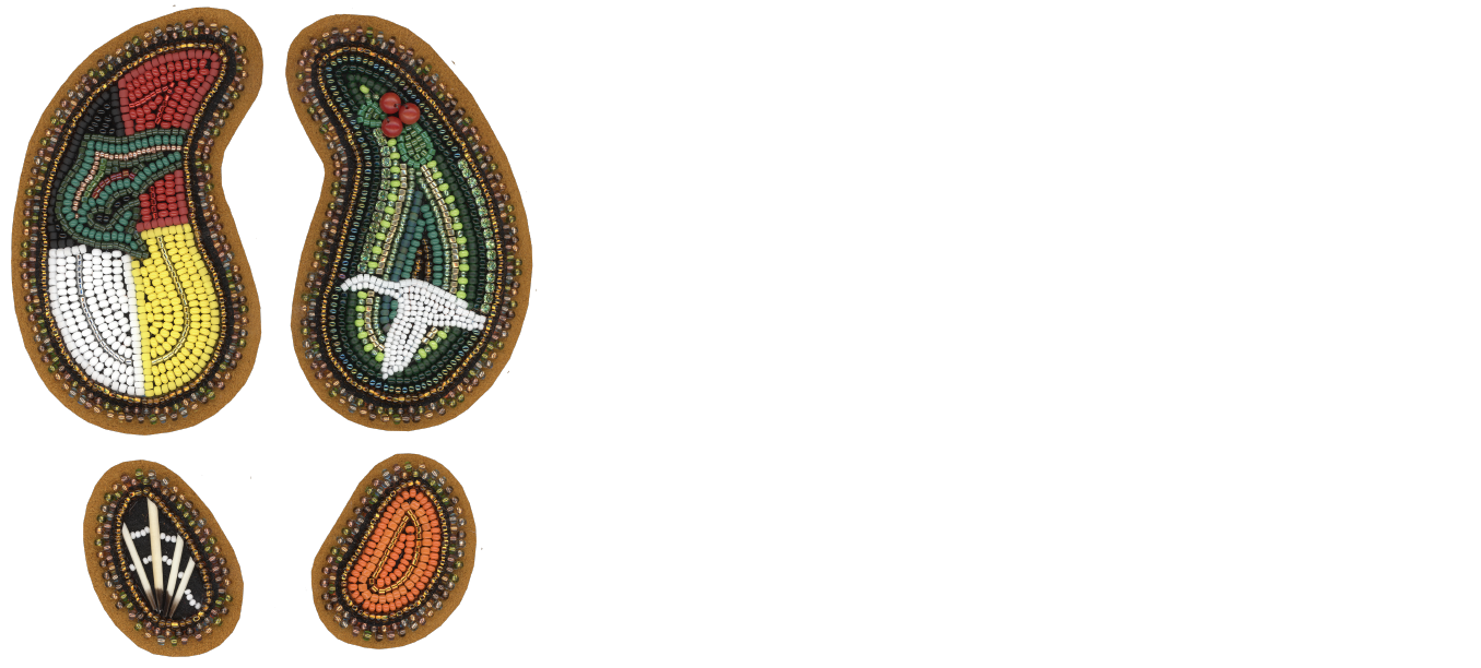 Yukon First Nations Climate Action Fellowship
